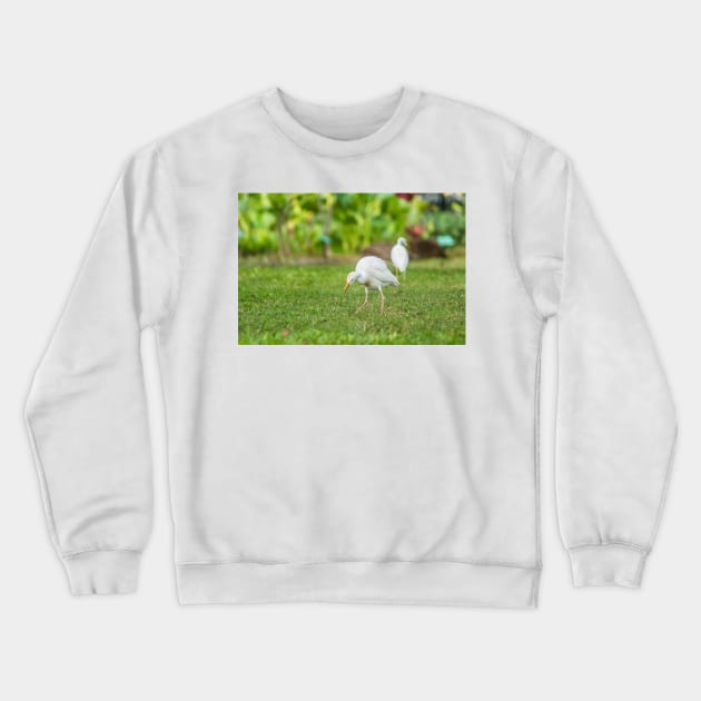 Cattle Egret 2 + 2 Crewneck Sweatshirt by KensLensDesigns